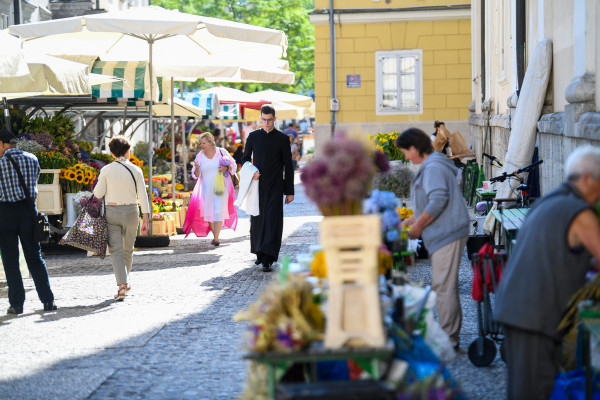 Kaj skromna številka novomašnikov pomeni za našo Cerkev?